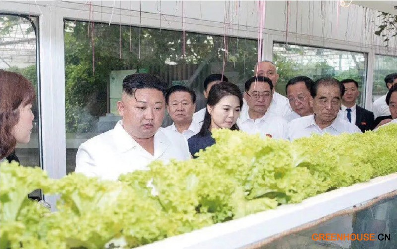 4.朝鮮最高領(lǐng)導(dǎo)人、朝鮮勞動黨總書記金正恩到訪創(chuàng)新園